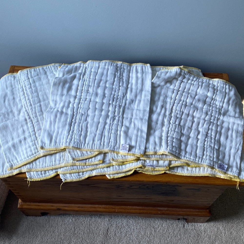 10 Cloth-eez size small prefolds